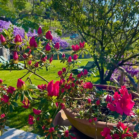 Apartamento La Casa Dei Glicini