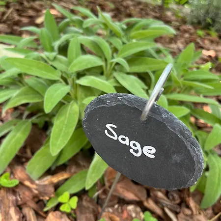 La Casa Dei Glicini Apartment Levanto