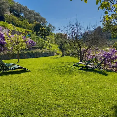 La Casa Dei Glicini * לבנטו