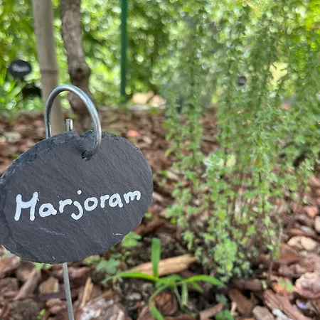 La Casa Dei Glicini *