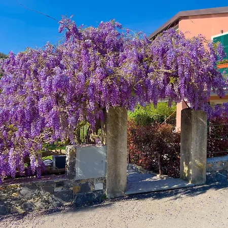La Casa Dei Glicini * לבנטו