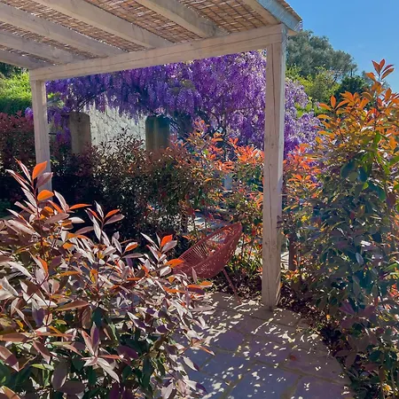 La Casa Dei Glicini * לבנטו