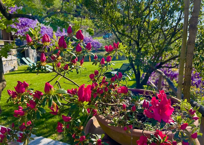 Apartment La Casa Dei Glicini