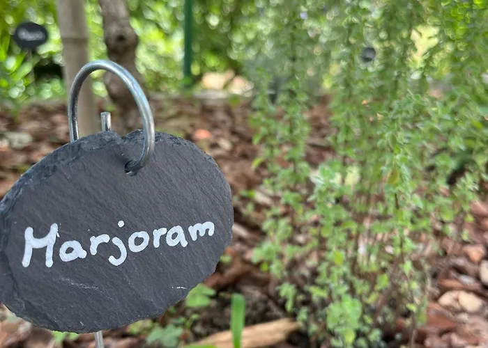 La Casa Dei Glicini *