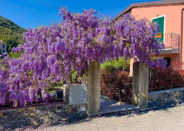 La Casa Dei Glicini * Levanto