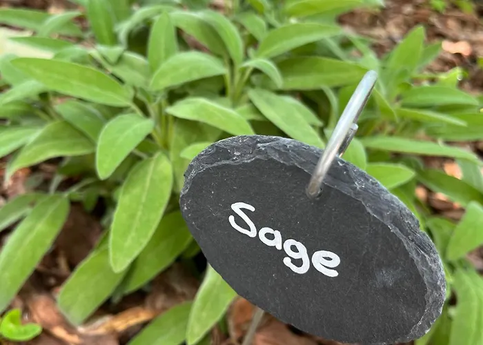 La Casa Dei Glicini Apartman Levanto