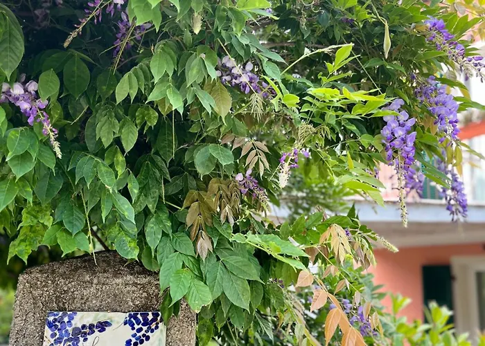 Apartman La Casa Dei Glicini Levanto